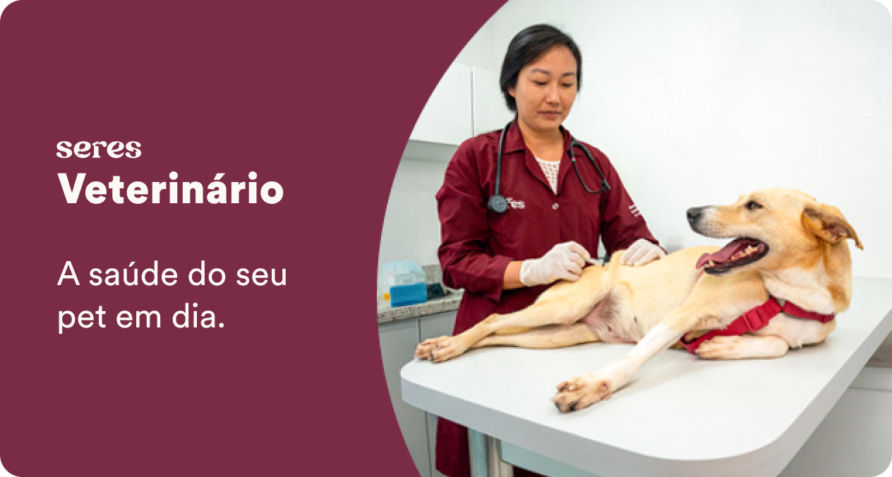 A saúde do seu pet em dia