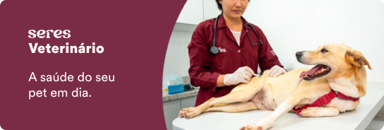 A saúde do seu pet em dia
